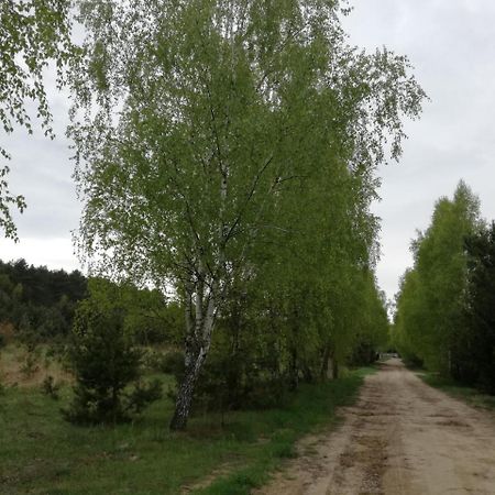 Szydlowiec Anastazewo المظهر الخارجي الصورة