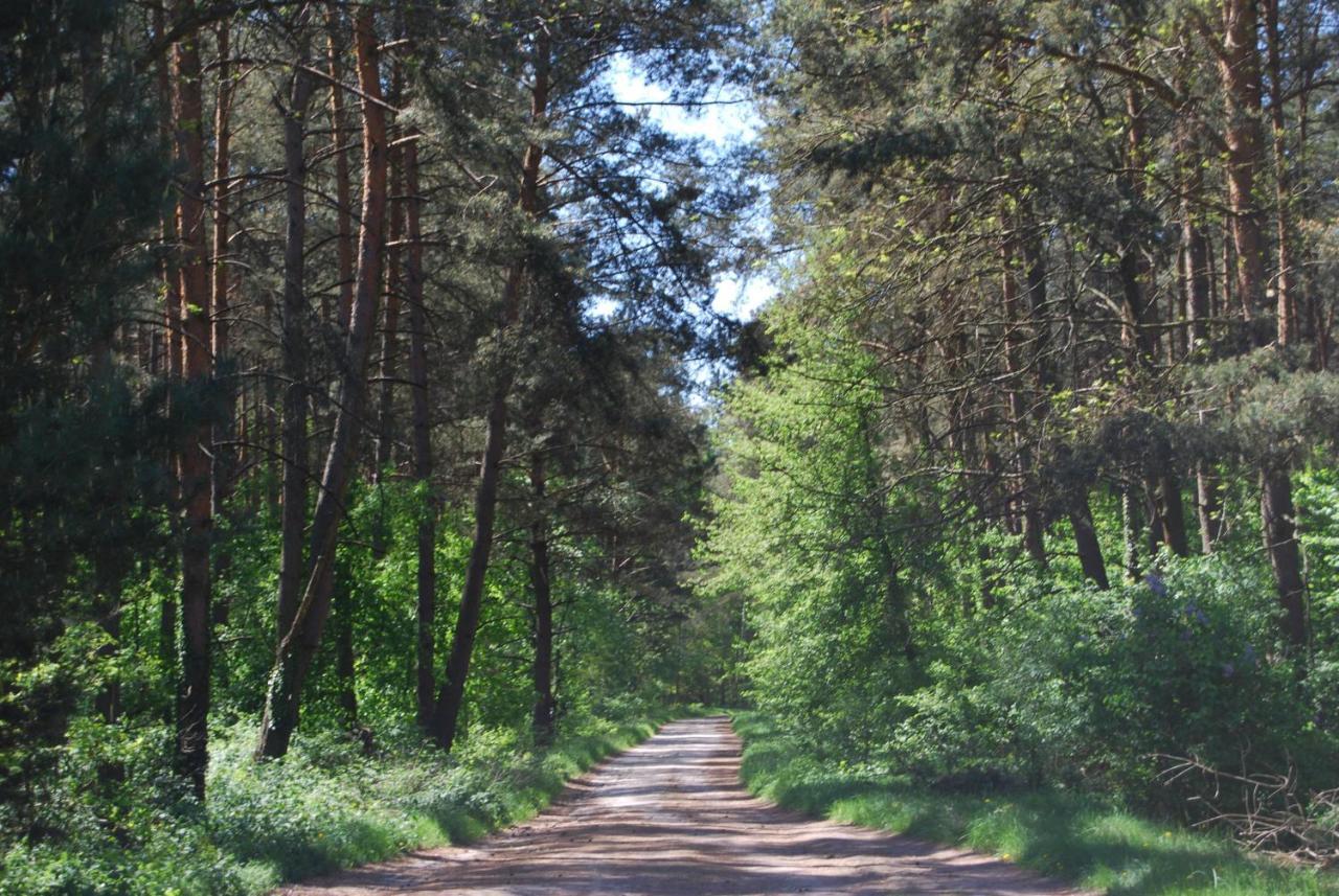 Szydlowiec Anastazewo المظهر الخارجي الصورة