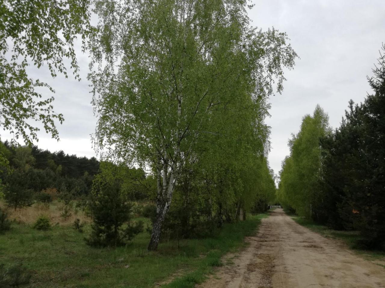 Szydlowiec Anastazewo المظهر الخارجي الصورة