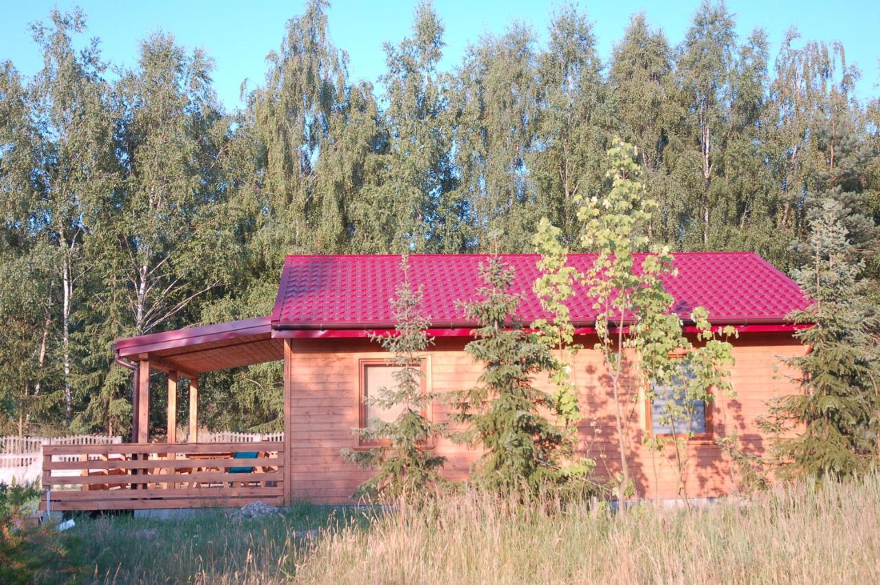 Szydlowiec Anastazewo المظهر الخارجي الصورة